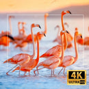 Projetor Portátil Magcubic Pro 4K com Android